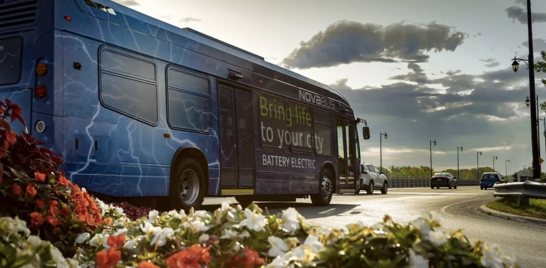 Half of the world bus fleet