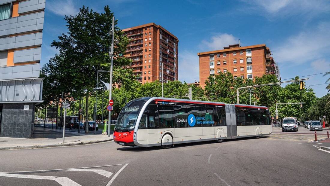 bus