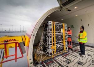 DHL Express